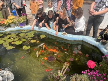 349615040_634163425239624_4616141903667049806_n